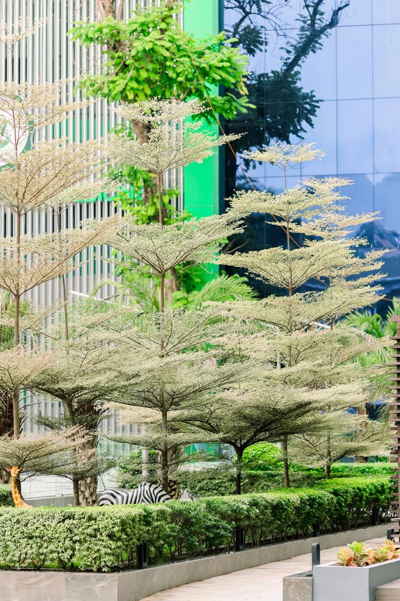 Life as an Indian Student at UV Gullas College of Medicine, Cebu